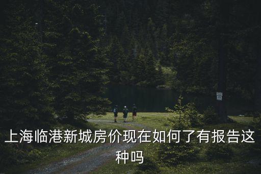 上海市臨港城房價，臨港新城老蘆公路江山路樓盤現在新房房價是多少錢一個平方