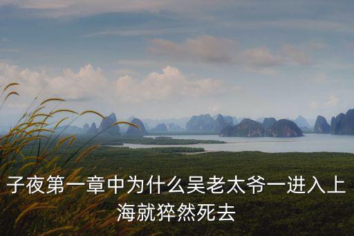 子夜第一章中為什么吳老太爺一進入上海就猝然死去