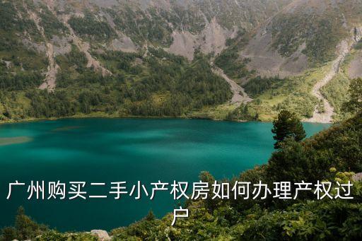 廣州大源畔山豪苑小產權房，廣州小產權房可以買嗎