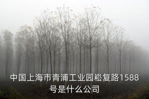 中國上海市青浦工業園崧復路1588號是什么公司