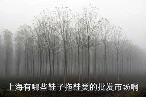 上海市有幾個鞋城，上海哪里有皮鞋城