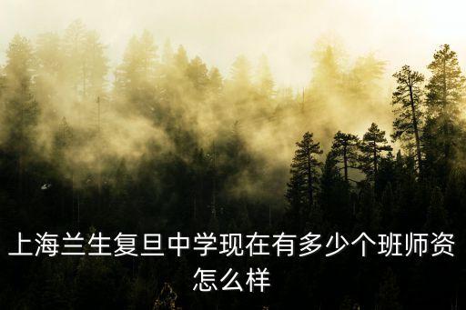 上海蘭生復(fù)旦中學(xué)現(xiàn)在有多少個(gè)班師資怎么樣