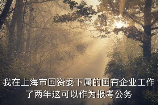 上海市國資委下屬聯社，我在上海市國資委下屬的國有企業工作了兩年這可以作為報考公務