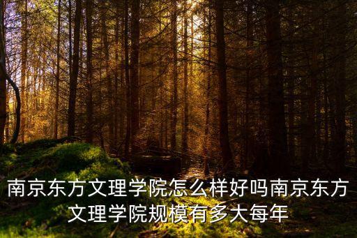 南京東方文理學院怎么樣好嗎南京東方文理學院規模有多大每年