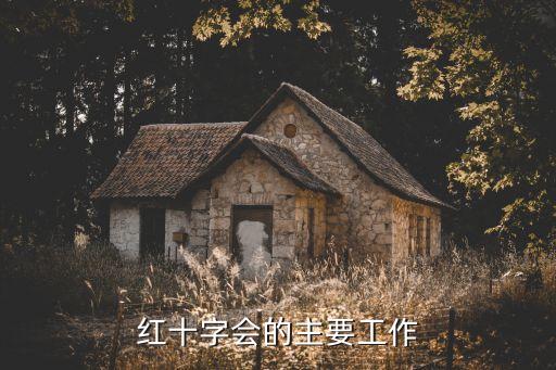 紅十字會工作總結，紅十字會的主要工作