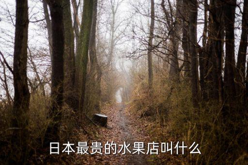 日本最貴的水果店叫什么