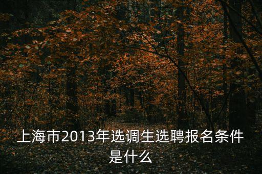 上海市選調(diào)海內(nèi)外優(yōu)秀學(xué)生，2013年上海選調(diào)生報(bào)名時(shí)間報(bào)名條件等