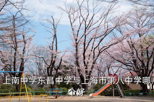 上海市第八中學(xué)畢業(yè)率，上南中學(xué)東昌中學(xué)與上海市第八中學(xué)哪個(gè)好