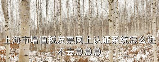 上海市增值稅發(fā)票網(wǎng)上認(rèn)證系統(tǒng)怎么進(jìn)不去急急急