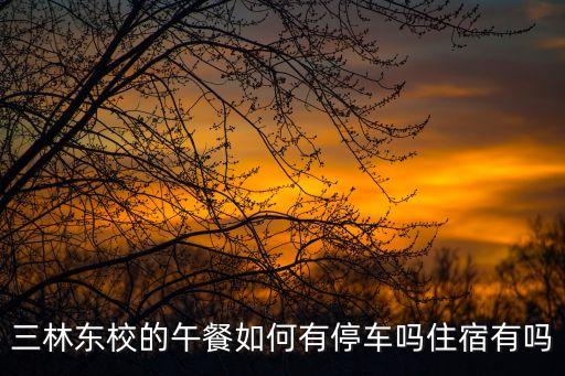 上海市三林中學午餐，上海高中的食堂午餐價格為多少啊
