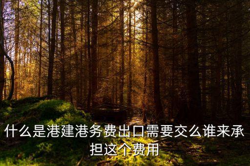 什么是港建港務費出口需要交么誰來承擔這個費用