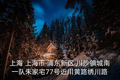上海 上海市 浦東新區 川沙鎮城南一隊朱家宅77號近川黃路繡川路