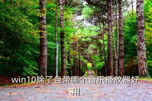 win10播放器，win10用什么播放器好求良心用戶體驗好的播放器