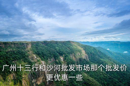 廣州十三行和沙河批發(fā)市場那個批發(fā)價(jià)更優(yōu)惠一些