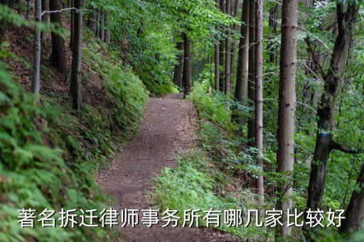 著名拆遷律師事務(wù)所有哪幾家比較好
