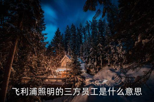 上海市飛利浦照明有限公司，上海飛利浦照明怎么樣