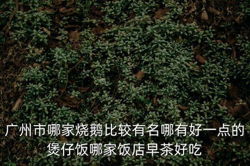 廣州市哪家燒鵝比較有名哪有好一點的煲仔飯哪家飯店早茶好吃