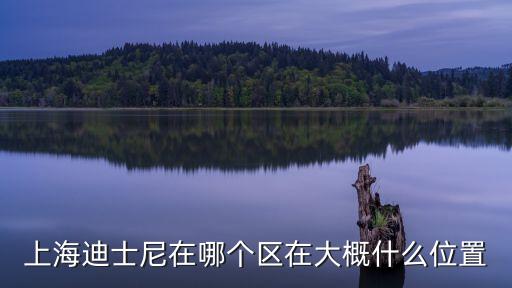 上海市國際度假區(qū)屬那個區(qū)，上海國際旅游度假區(qū)的介紹