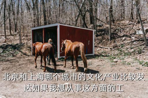 北京和上海哪個城市的文化產業比較發達如果我想從事這方面的工