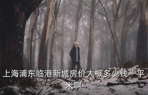 上海浦東臨港新城房價大概多少錢一平米啊