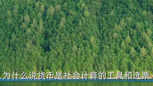 社會計算，為什么說貨幣是社會計算的工具和選票