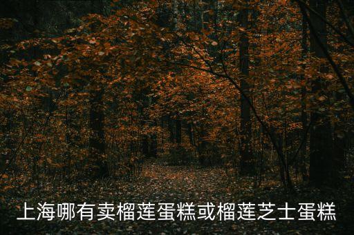 上海市有蛋糕，上海市楊浦區(qū)黃興路附近有沒(méi)有蛋糕點(diǎn)