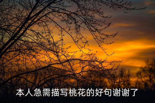 本人急需描寫桃花的好句謝謝了