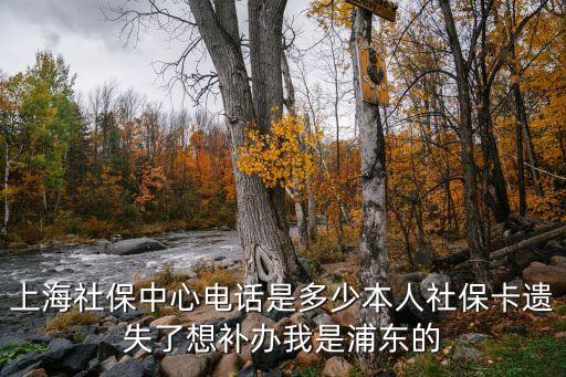 上海市浦東金橋社保中心電話，浦東新區的社保中心地址電話