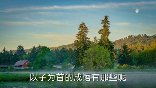 以子為首的成語有那些呢