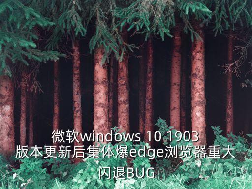 微軟windows 10 1903版本更新后集體爆edge瀏覽器重大閃退BUG