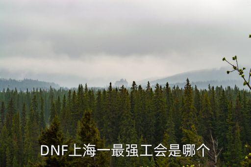 DNF上海一最強工會是哪個