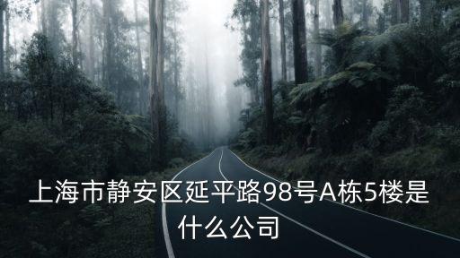 上海市靜安區(qū)延平路98號(hào)A棟5樓是什么公司