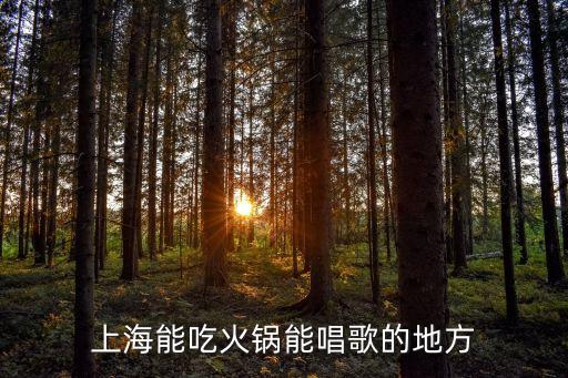 上海市南匯區紅亮音樂火鍋，上海市浦東新區天雄路588弄13號樓是什么公司