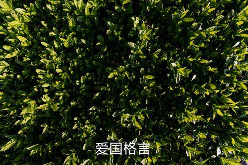 愛國短句，關(guān)于愛國的句子不要名言自己寫