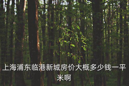 上海浦東臨港新城房價大概多少錢一平米啊