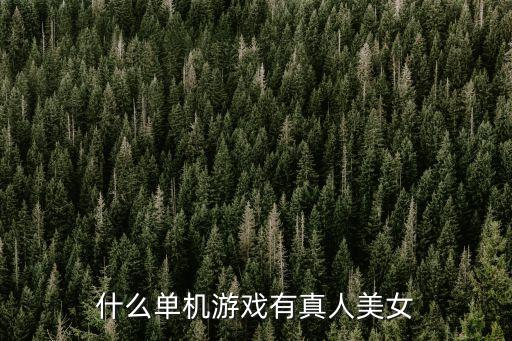 什么單機游戲有真人美女