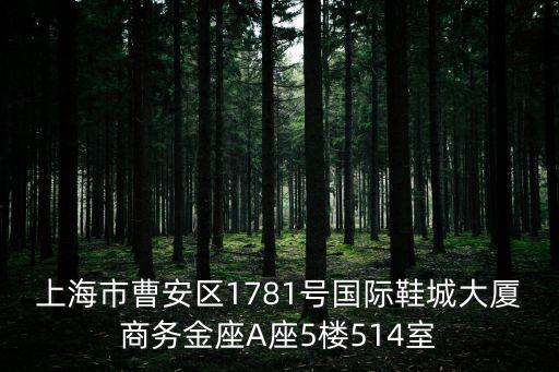 上海市曹安區1781號國際鞋城大廈商務金座A座5樓514室