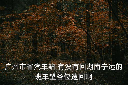 廣州市省汽車站 有沒有回湖南寧遠(yuǎn)的班車望各位速回啊