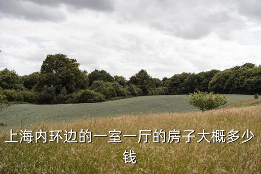 上海市內環房價多少錢，上海市內環的房均價是多少