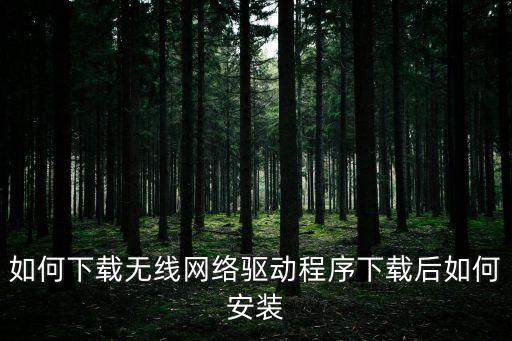wifi驅動下載，無線網驅動下載