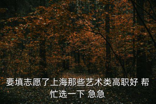 上海市現(xiàn)代音樂藝術(shù)職業(yè)，要填志愿了上海那些藝術(shù)類高職好 幫忙選一下 急急