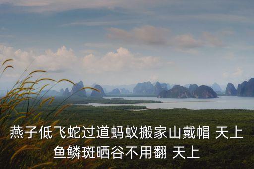 天上魚鱗斑，天上魚鱗斑的下一句是什么