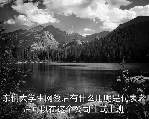 大學生網簽，親們大學生網簽后有什么用呢是代表之后可以在這個公司正式上班