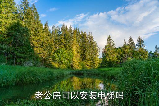 老公房可以安裝電梯嗎