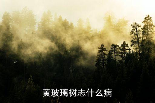 黃玻璃樹，民間說的黃玻璃木是黃花梨嗎