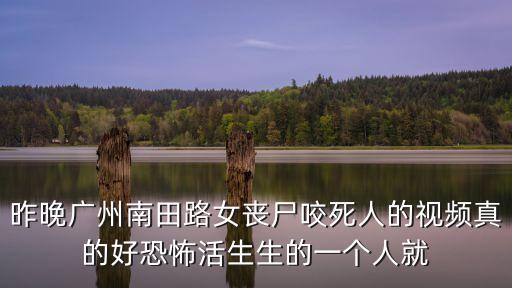 廣州靈異怪事視頻，昨晚廣州南田路女喪尸咬死人的視頻真的好恐怖活生生的一個人就