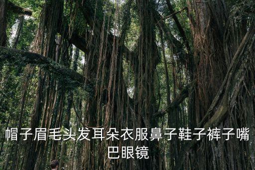 耳朵的英文，耳朵英語怎么讀