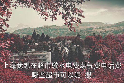 上海市交煤氣水電，上海地區 網上交水電煤費可以嗎在什么網站繳費