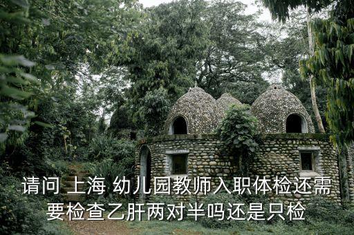 上海市教師入職體檢項目，請問 上海 幼兒園教師入職體檢還需要檢查乙肝兩對半嗎還是只檢