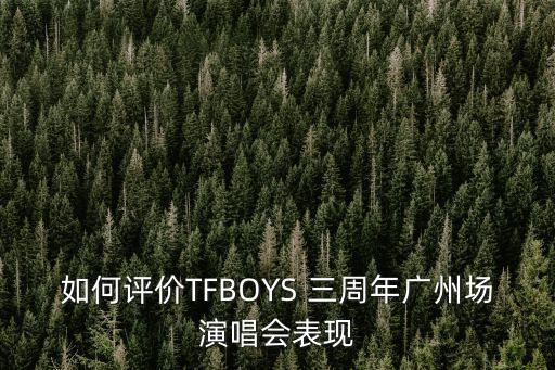 如何評價TFBOYS 三周年廣州場演唱會表現
